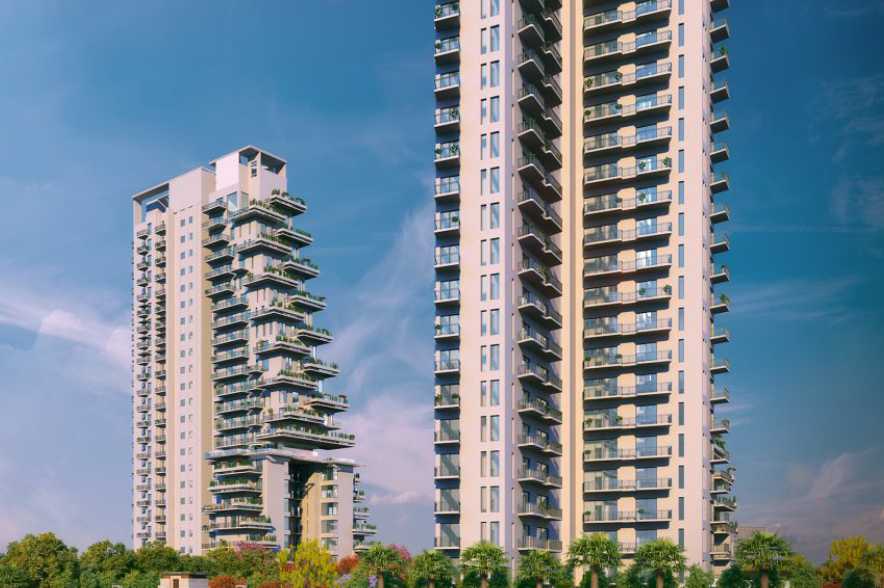 Saan Verdante - Image 6