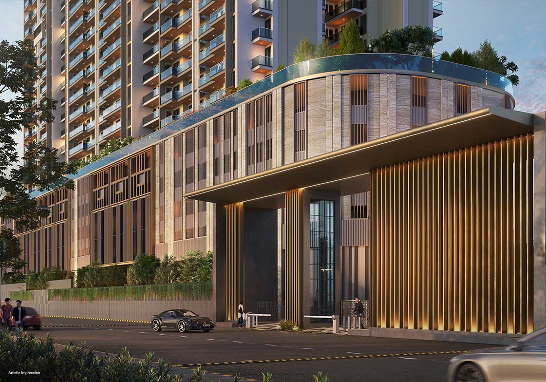 The Levante - Image 3