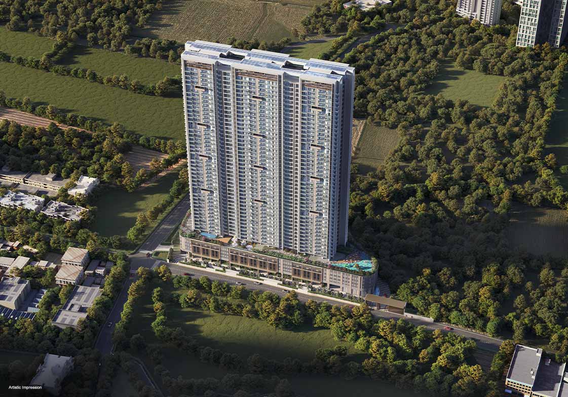 The Levante - Image 4