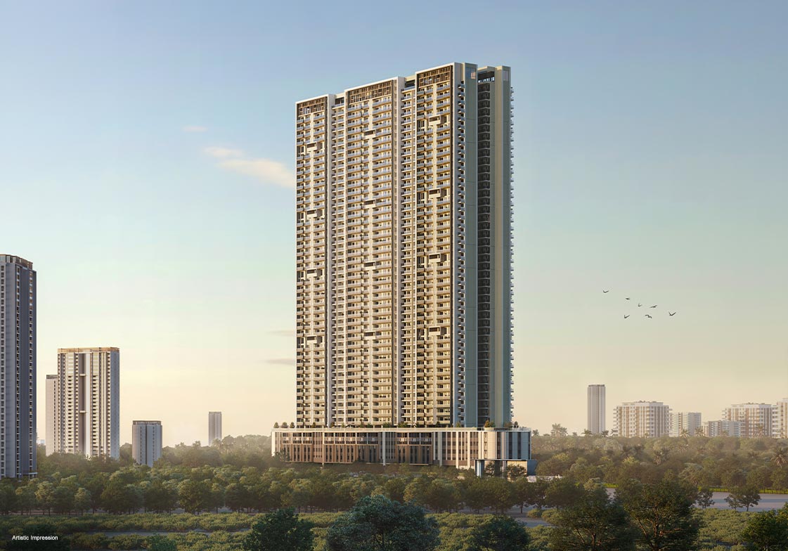 The Levante - Image 6